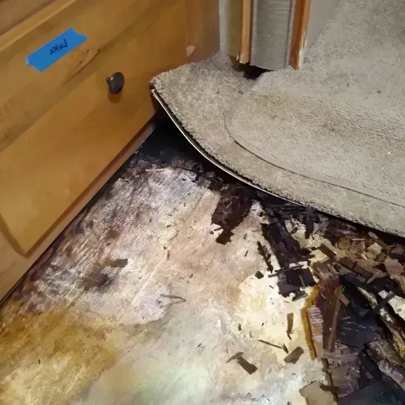 Best Wood Floor Water Damage Service in McLeod County, MN